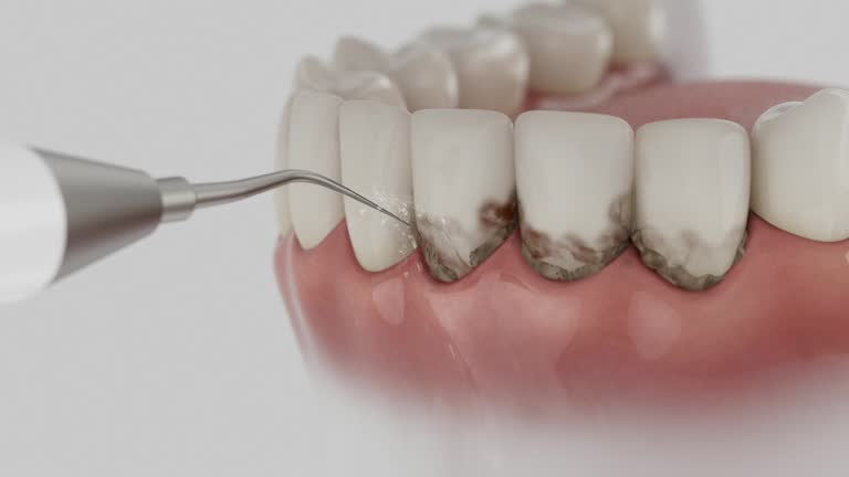 Reliable Dental contractor in Crystal, MN by Dentist Open Now